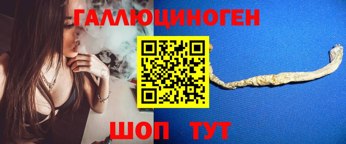 Псилоцибиновые грибы GOLDEN TEACHER Малоярославец