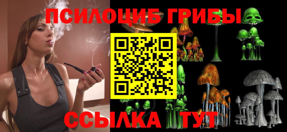 Галлюциногенные грибы GOLDEN TEACHER  Вход с VPN  Малоярославец  Псилоцибиновые грибы Cubensis 